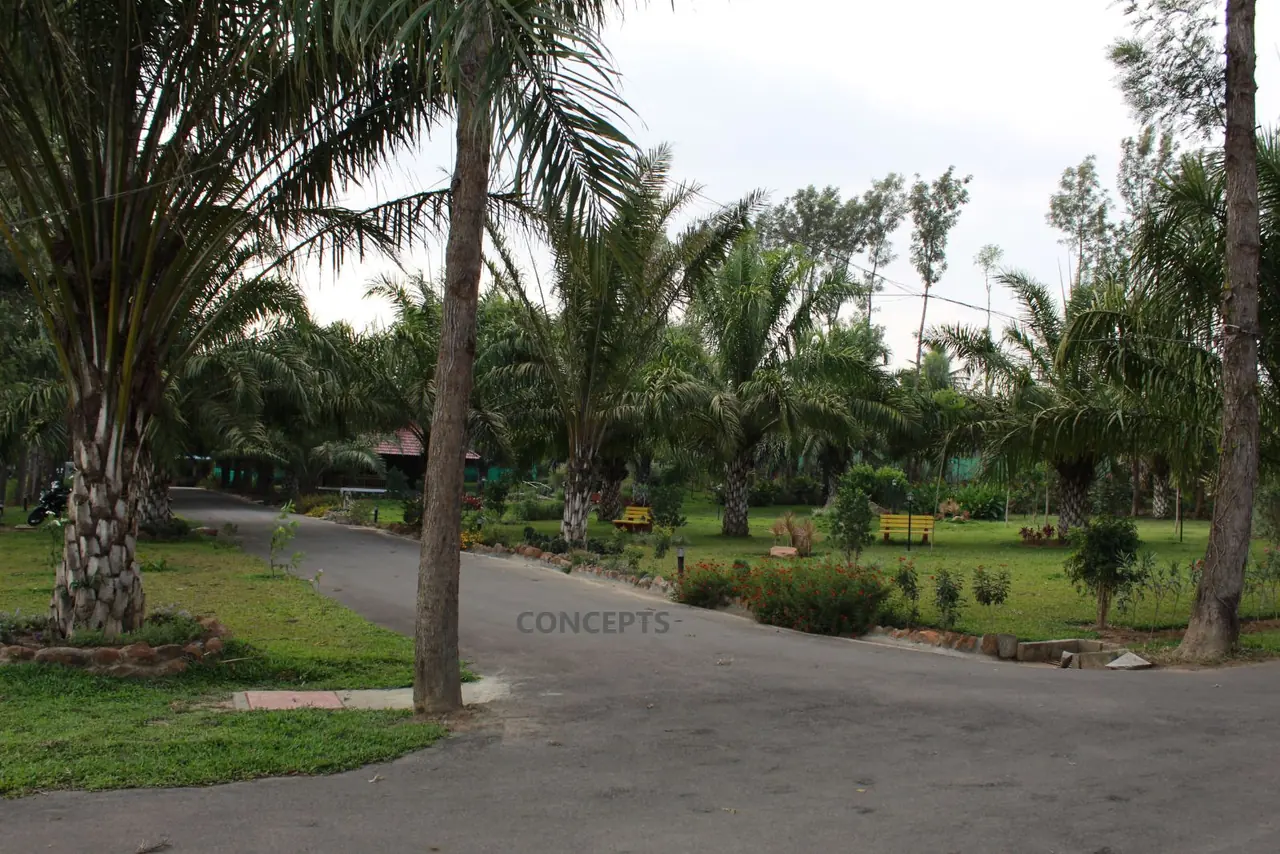 Resort pavilion and grounds at Palm Era Resorts, built by CONCEPTS in Coorg